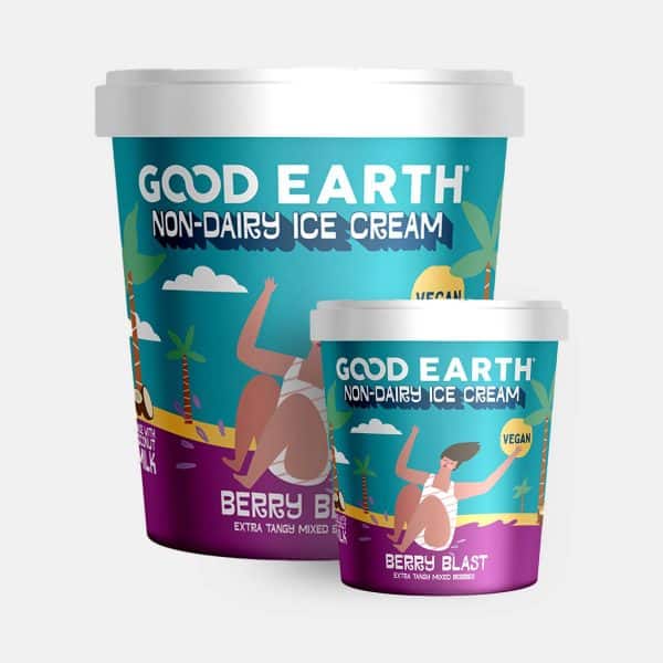 Good Earth Berry Blast Non-Dairy Ice-Cream 150ml and 500ml